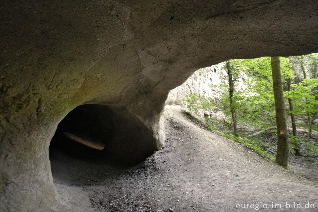 Detailansicht von Trass, Brohltal, Vulkaneifel, Trasshöhlen, vulkanisch, Höhlen, Höhlen- und Schluchtensteig, Wanderwege, Brohl,