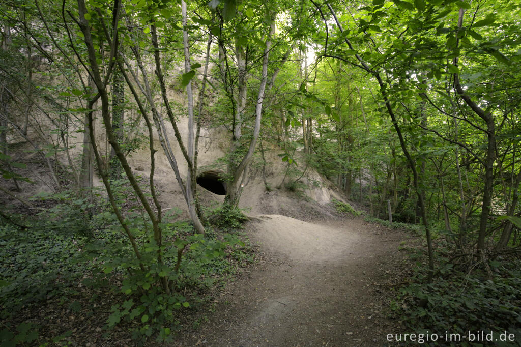 Detailansicht von Trass, Brohltal, Vulkaneifel, Trasshöhlen, vulkanisch, Höhlen, Höhlen- und Schluchtensteig, Wanderwege, Brohl,