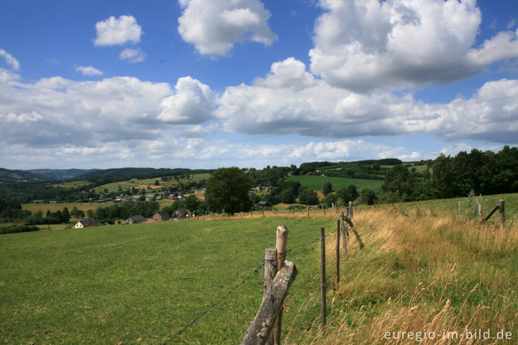 Detailansicht von Typiische Landschaft in den Ardennen bei Bellevaux