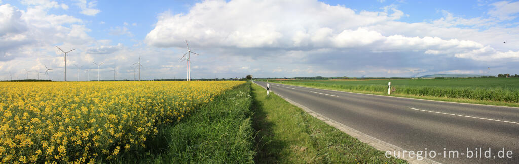 Detailansicht von Typische Landschaft der Rheinischen Tiefebene bei Jülich