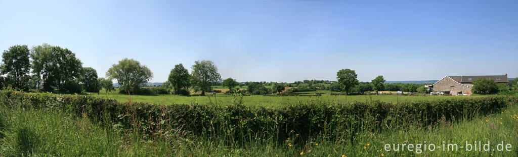 Detailansicht von Typische Wiesenlandschaft bei Lontzen-Busch, Belgien