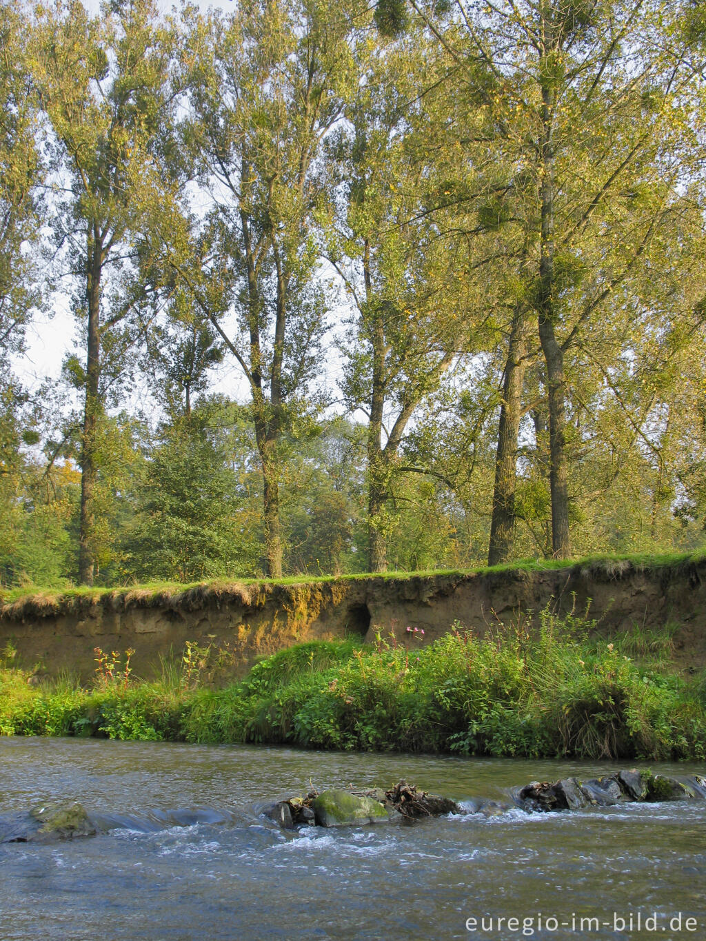 Detailansicht von Uferböschung der Geul bei Epen mit Höhle