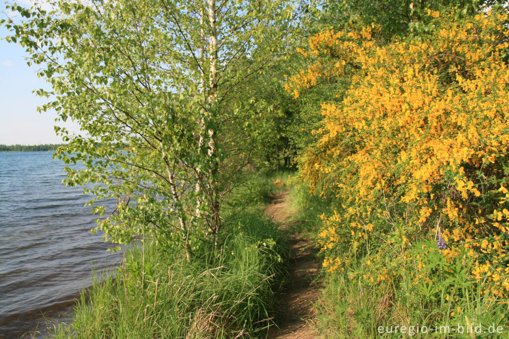 Detailansicht von Uferweg am Blausteinsee