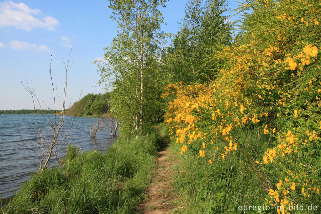 Detailansicht von Uferweg beim Blausteinsee