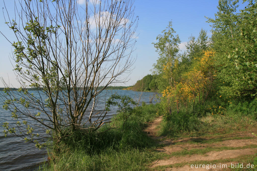 Detailansicht von Uferweg beim Blausteinsee 