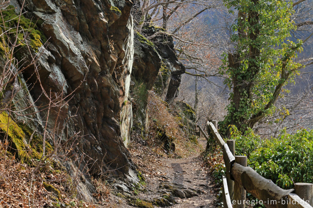 Detailansicht von Uferweg  beim Staubecken Heimbach