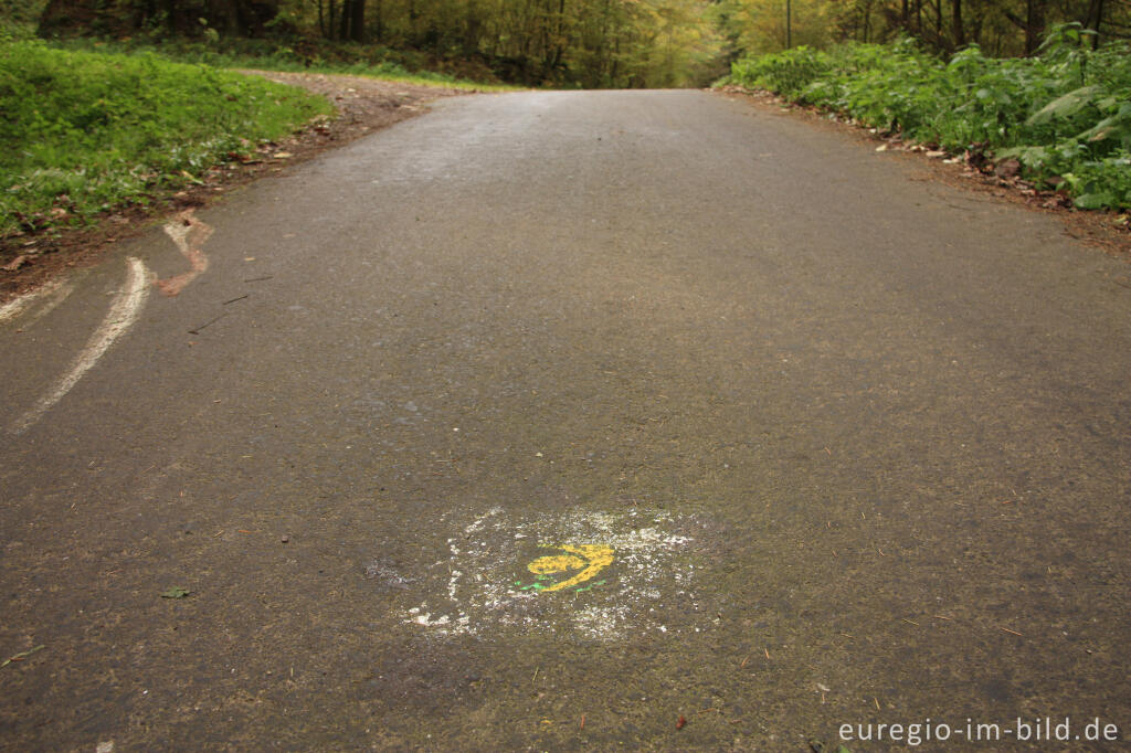 Detailansicht von Umleitung des Eifelsteigs bei Mühlenflürchen über den Kylltalradweg