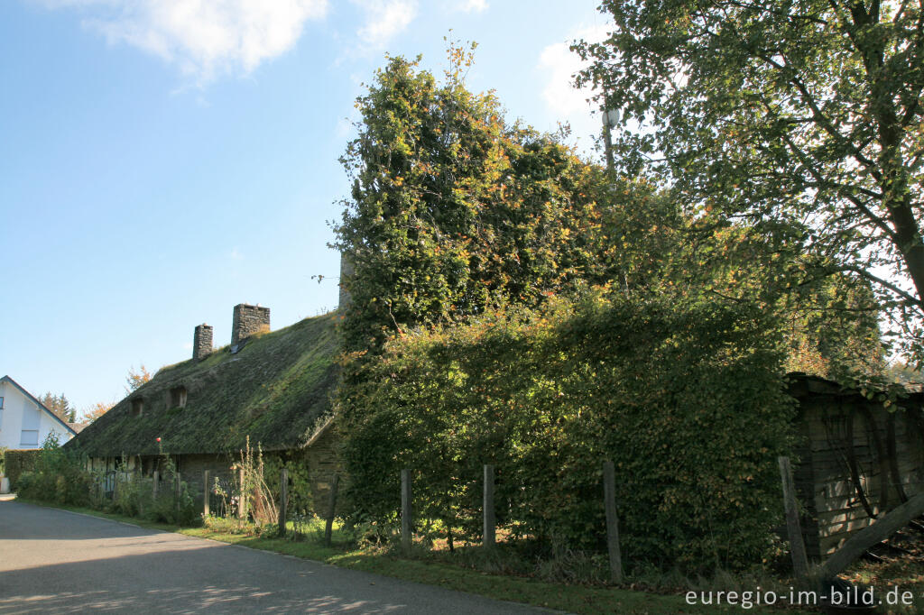 Detailansicht von Venn-Bauernhaus in Höfen 