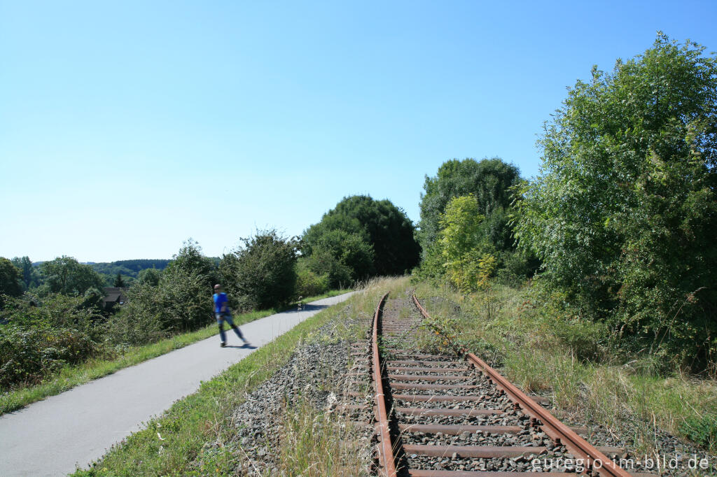 Detailansicht von Vennbahntrasse bei Hahn