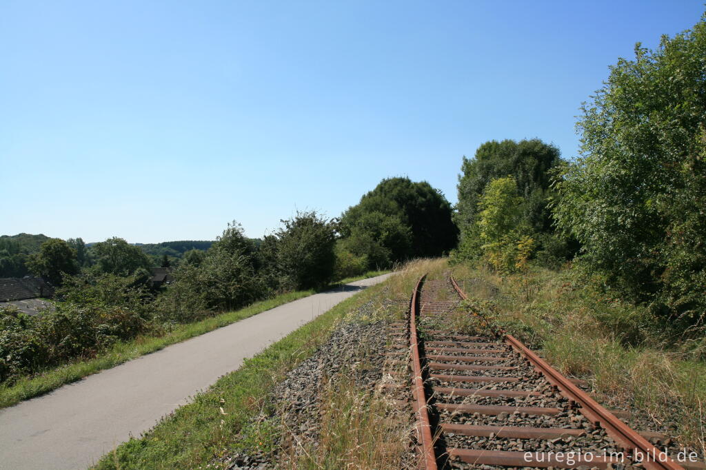 Detailansicht von Vennbahntrasse bei Hahn