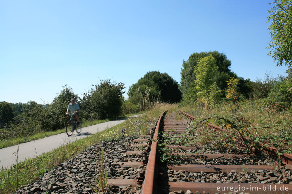 Detailansicht von Vennbahntrasse bei Hahn