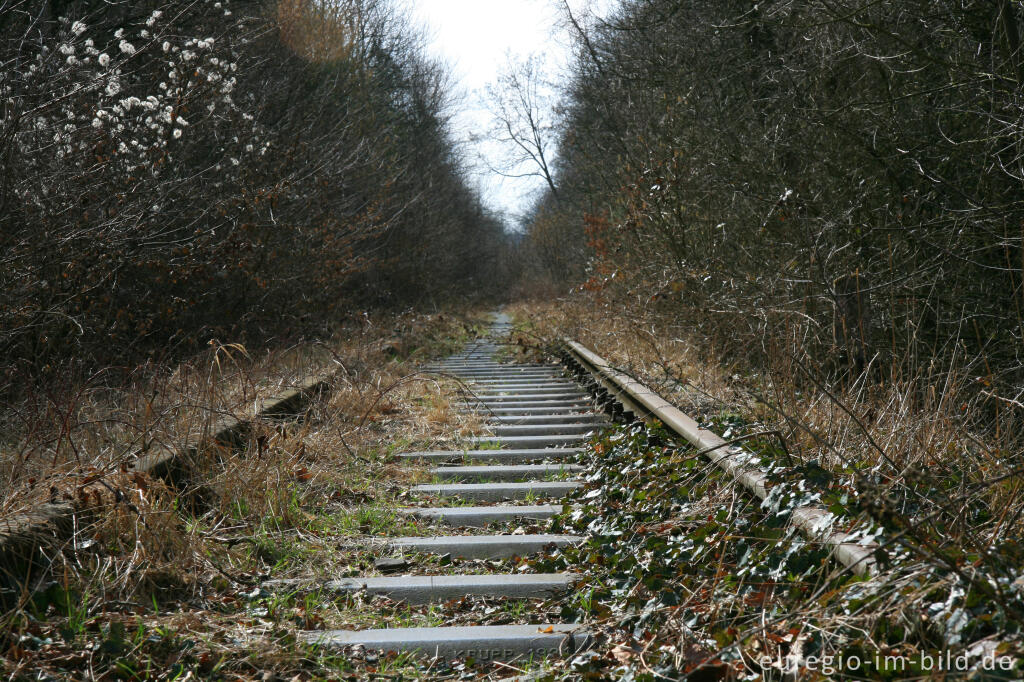 Detailansicht von Vennbahntrasse nördlich von Hahn