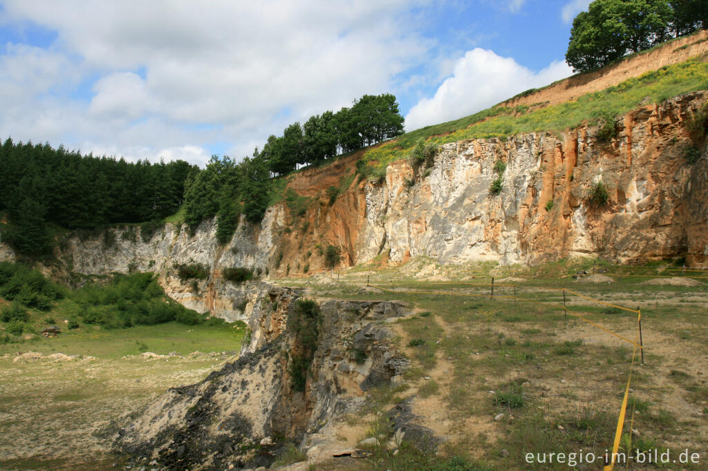 Detailansicht von Verschiedene Niveaus der Mergelgrube ´t Rooth in Südlimburg