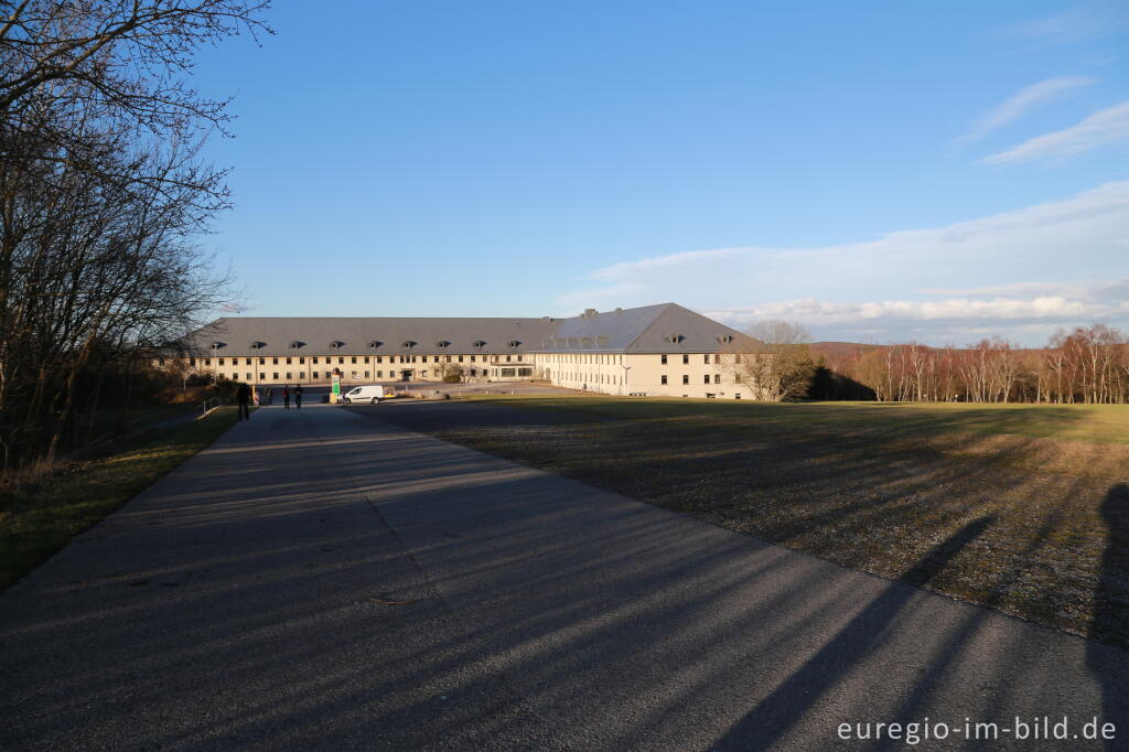 Detailansicht von Vogelsang IP im Nationalpark Eifel