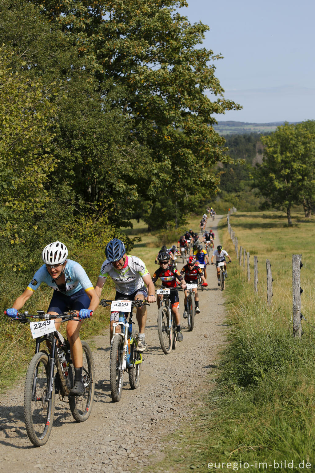 Detailansicht von VulkanBike-Marathon, Mäuseberg bei Daun