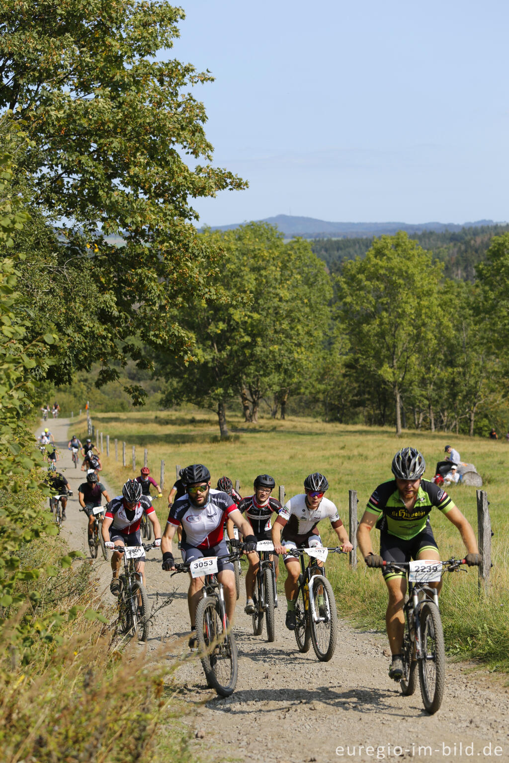 Detailansicht von VulkanBike-Marathon, Mäuseberg bei Daun