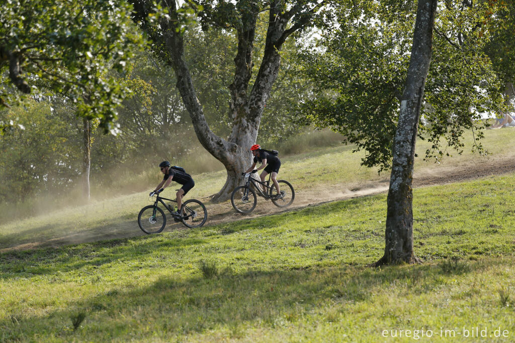 Detailansicht von VulkanBike-Marathon, Mäuseberg bei Daun