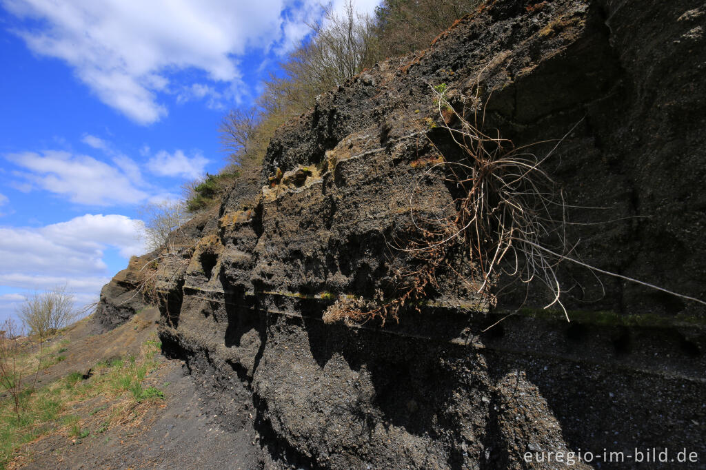 Detailansicht von Vulkanisches Lockermaterial (Basalt) am Kasselburger Hahn bei Gerolstein