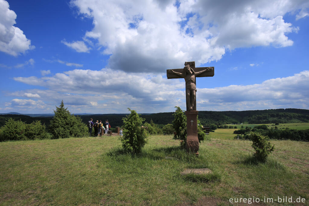 Detailansicht von Wacholderheide - das Naturschutzgebiet Lampertstal bei Alendorf, Gemeinde Blankenheim