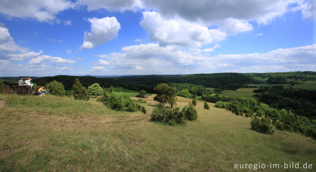 Detailansicht von Wacholderheide - das Naturschutzgebiet Lampertstal bei Alendorf, Gemeinde Blankenheim