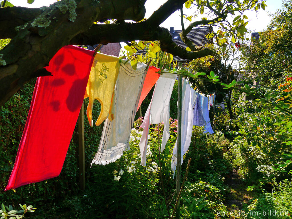 Detailansicht von Wäsche im Garten