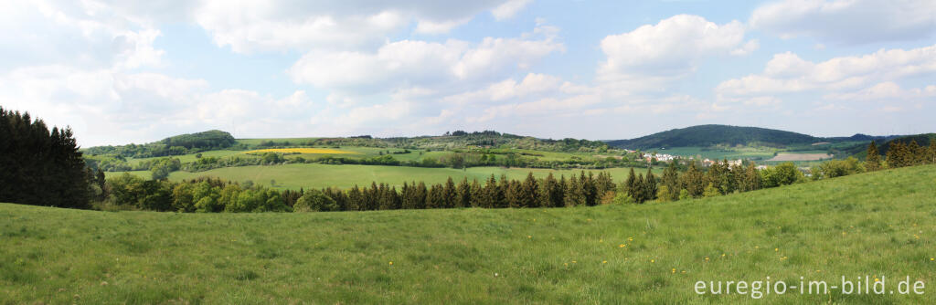 Detailansicht von Wald- und Wiesenlandschaft zwischen Neroth und Daun, Vulkaneifel