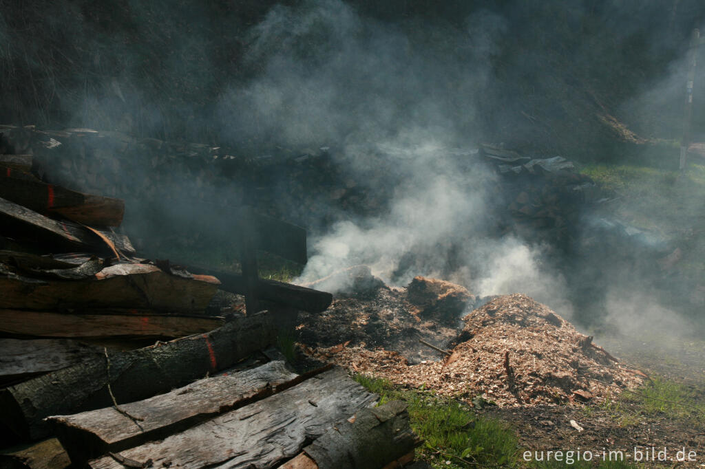 Detailansicht von Waldmuseum mit Kohlemeiler im Rohrener Wald