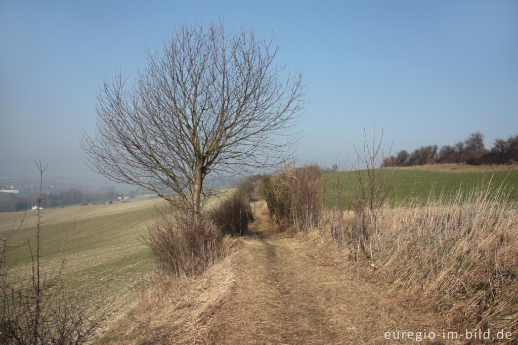 Detailansicht von Wandereg (Grenzroute 1) auf dem Schneeberg