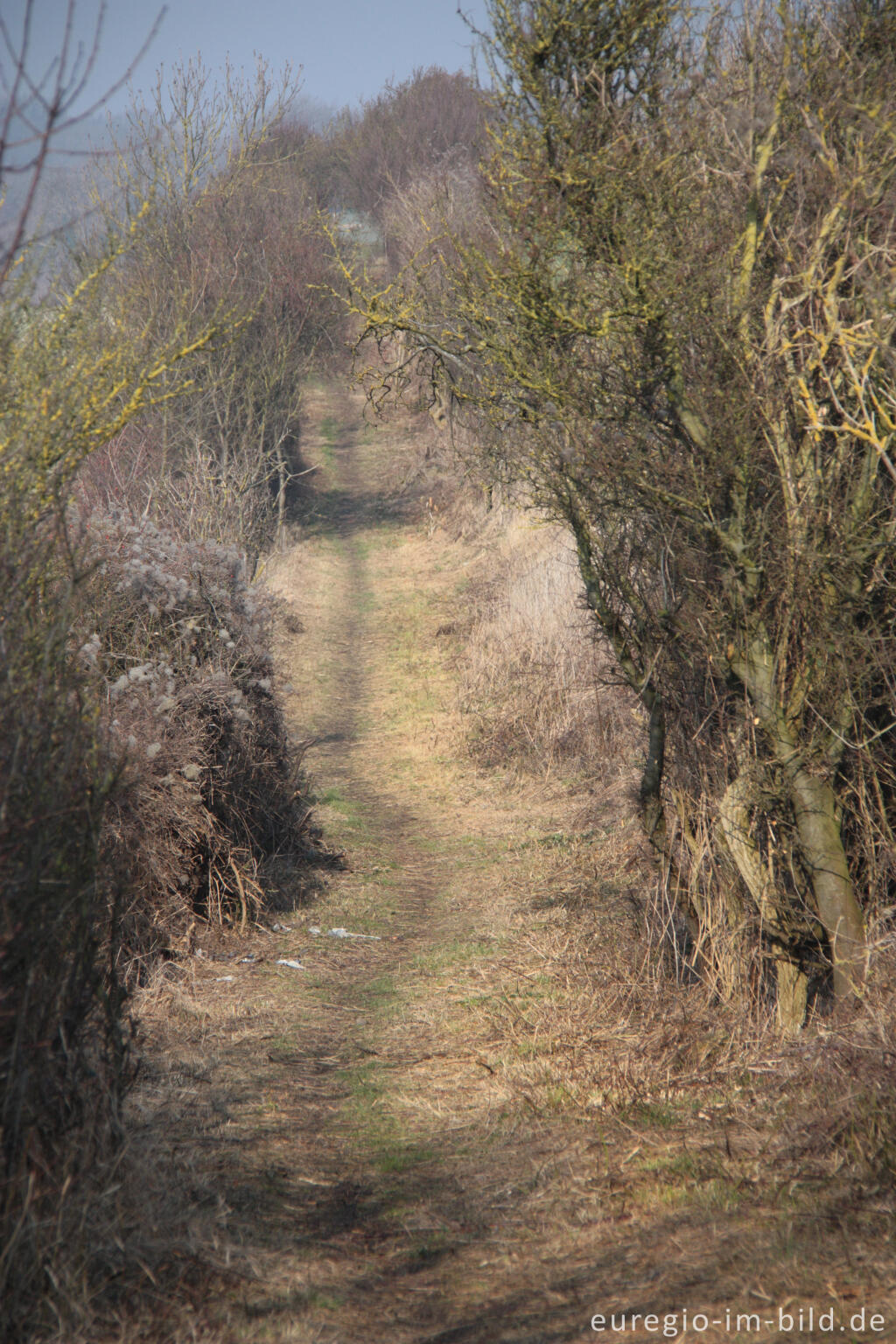 Detailansicht von Wandereg (Grenzroute 1) auf dem Schneeberg