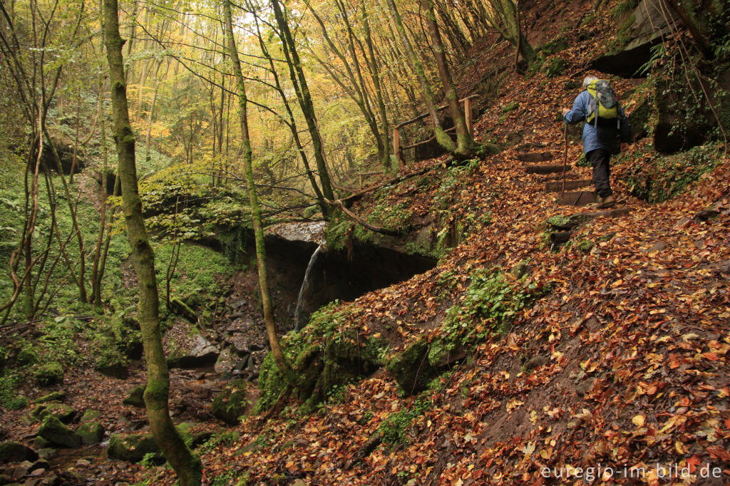 Detailansicht von Wandern im Butzerbachtal, Südeifel