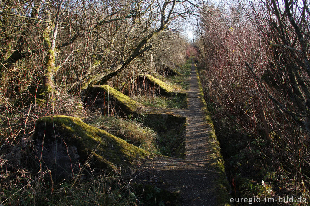 Detailansicht von Wanderweg 54 auf der Höckerlinie bei Simmerath