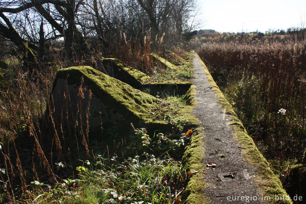 Detailansicht von Wanderweg 54 auf der Höckerlinie bei Simmerath