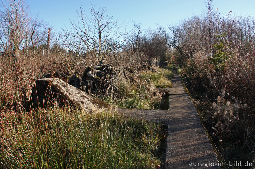 Detailansicht von Wanderweg 54 auf der Höckerlinie bei Simmerath