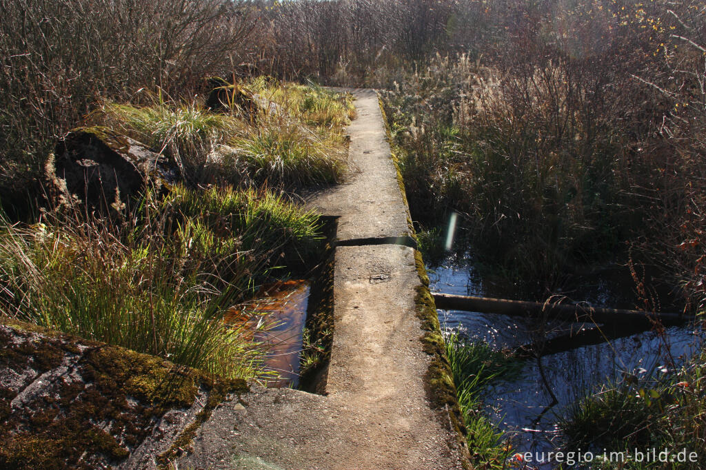 Detailansicht von Wanderweg 54 auf der Höckerlinie bei Simmerath