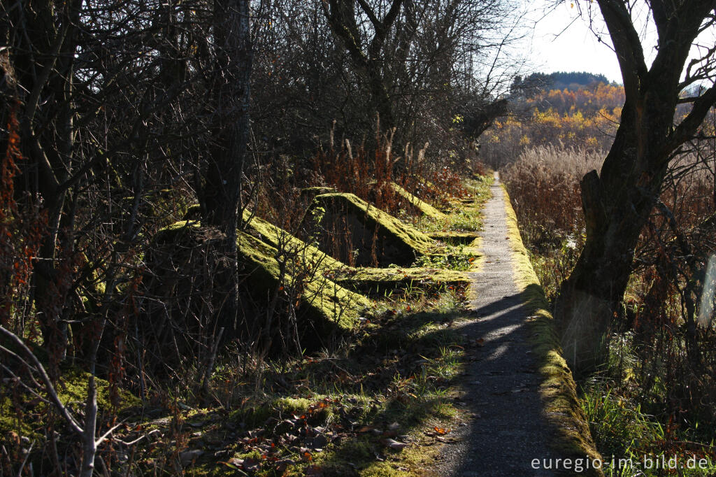 Detailansicht von Wanderweg 54 auf der Höckerlinie bei Simmerath