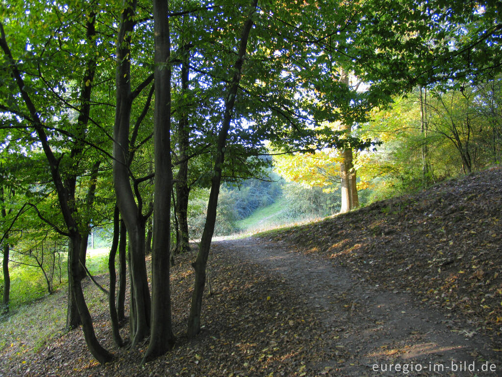 Detailansicht von Wanderweg am Hang des Göhlltals südöstlich von Epen