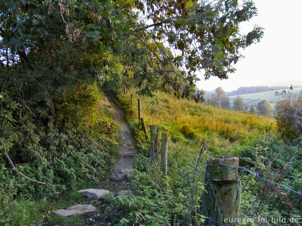 Detailansicht von Wanderweg am rechten Hang des Göhlltals südöstlich von Epen