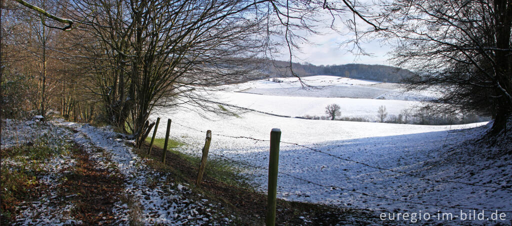 Detailansicht von Wanderweg am Südhang des Schimperbos, Gemmenich, B