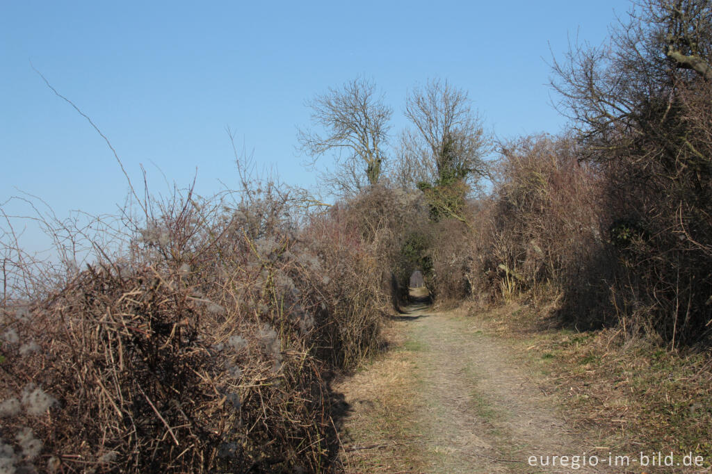 Detailansicht von Wanderweg auf dem Schneeberg