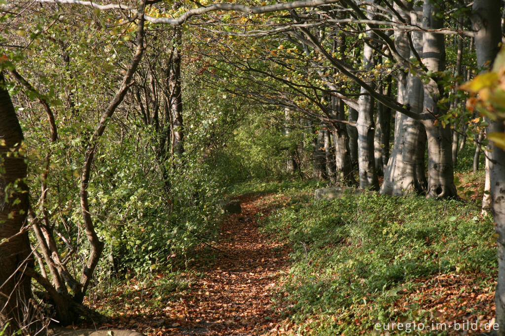 Wanderweg auf dem Schneeberg 