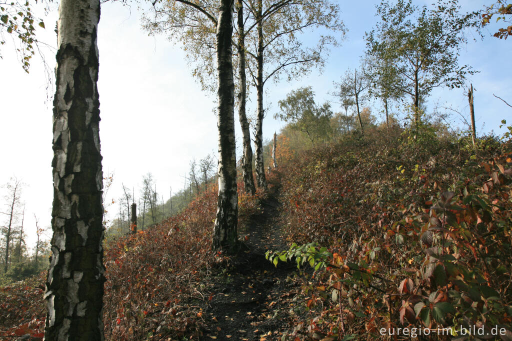 Detailansicht von Wanderweg auf der Halde Adolf, Herzogenrath Merkstein