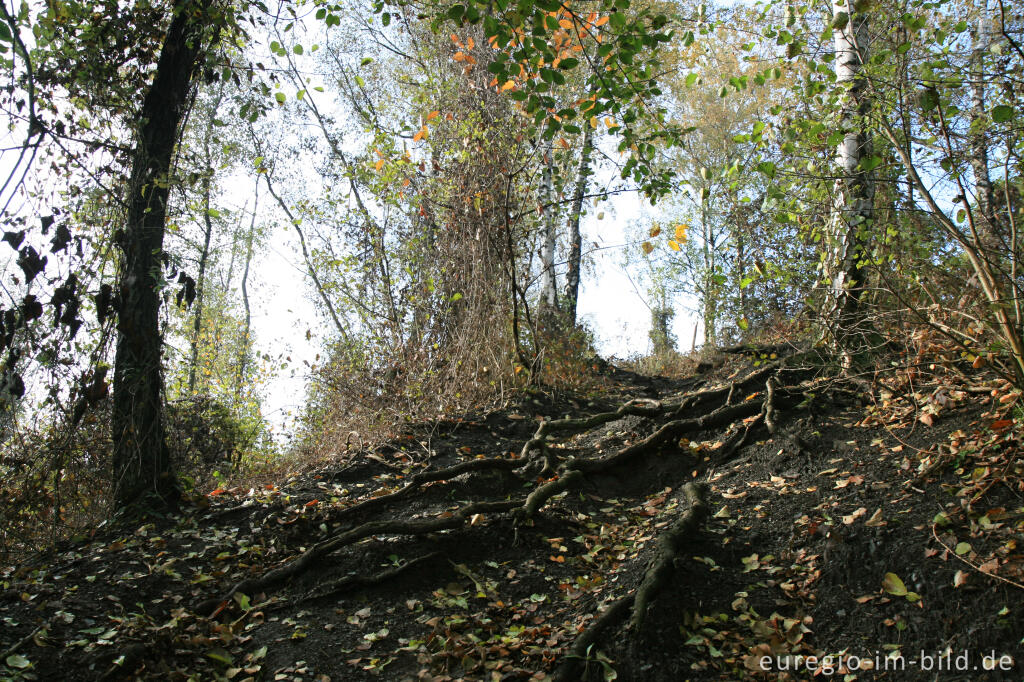 Detailansicht von Wanderweg auf der Halde Adolf, Herzogenrath Merkstein