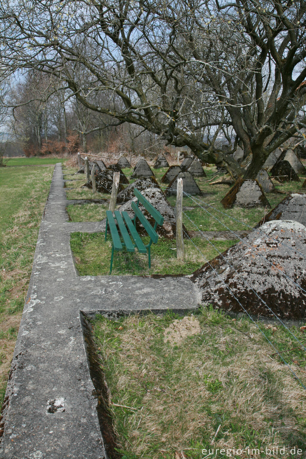 Detailansicht von Wanderweg auf einer Panzersperre, westlich von Simmerath