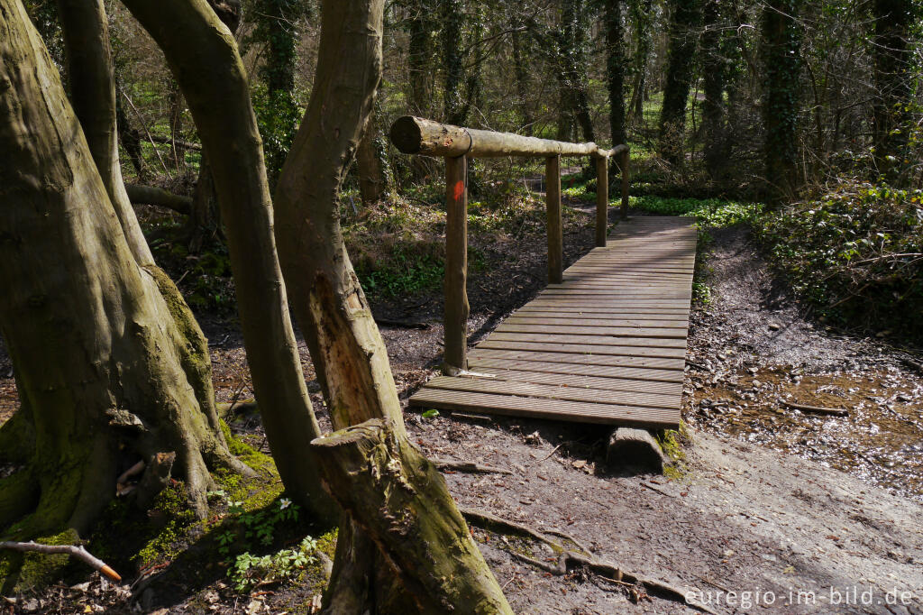 Detailansicht von Wanderweg bei Geulle, NL