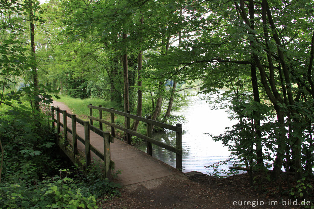 Detailansicht von Wanderweg beim Casinoweiher, Kelmis (La Calamine)