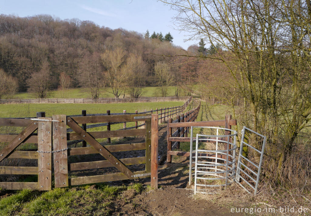 Detailansicht von Wanderweg beimk Hohnbach/Lontzenerbach