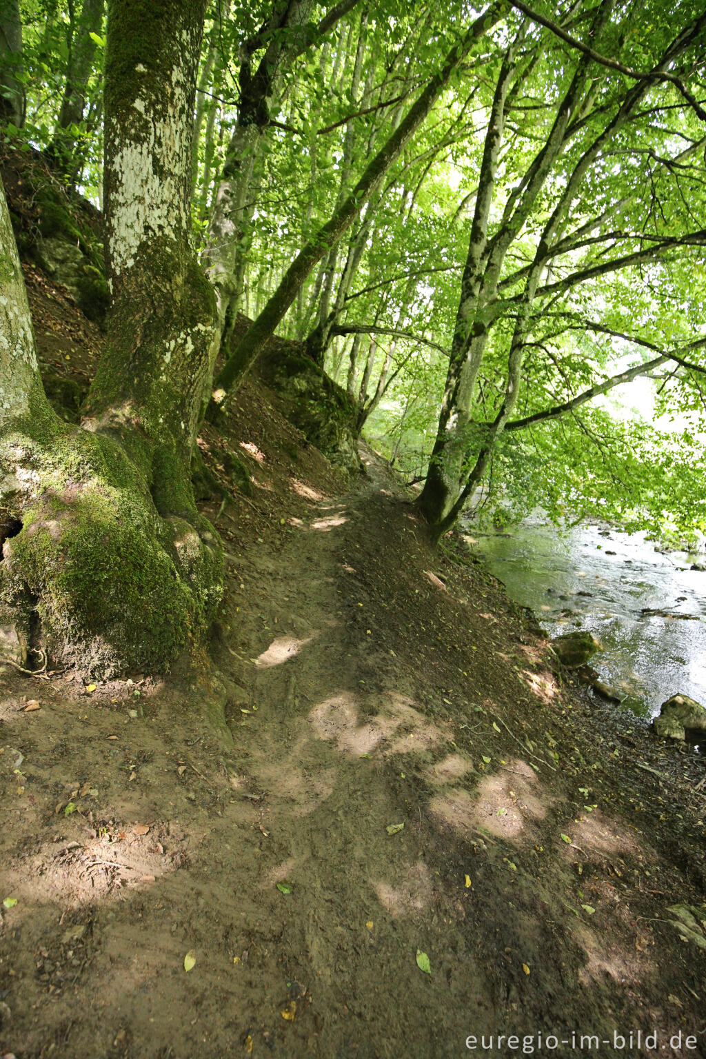 Detailansicht von Wanderweg entlang dem Ahbach zum Dreimühlenwasserfall