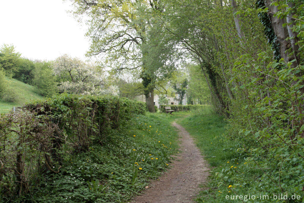 Detailansicht von Wanderweg entlang dem  Periolbach in Raeren