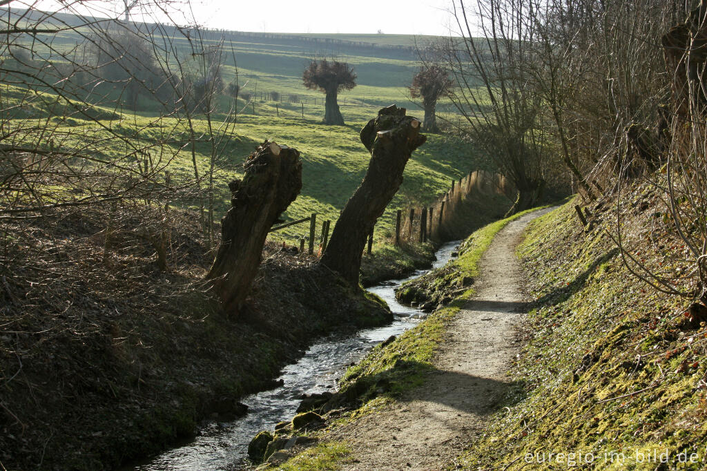 Wanderweg entlang dem Terzieterbeek, Südlimburg 