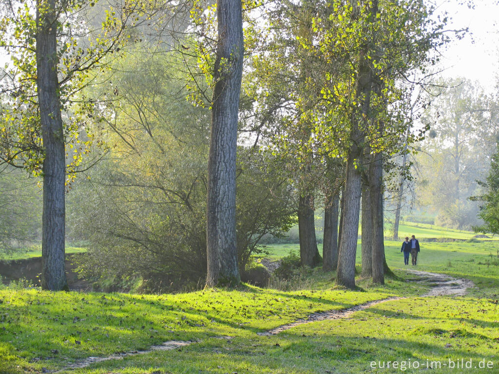 Detailansicht von Wanderweg entlang der Geul südlich von Epen